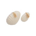 White Clams- Decor Candle
