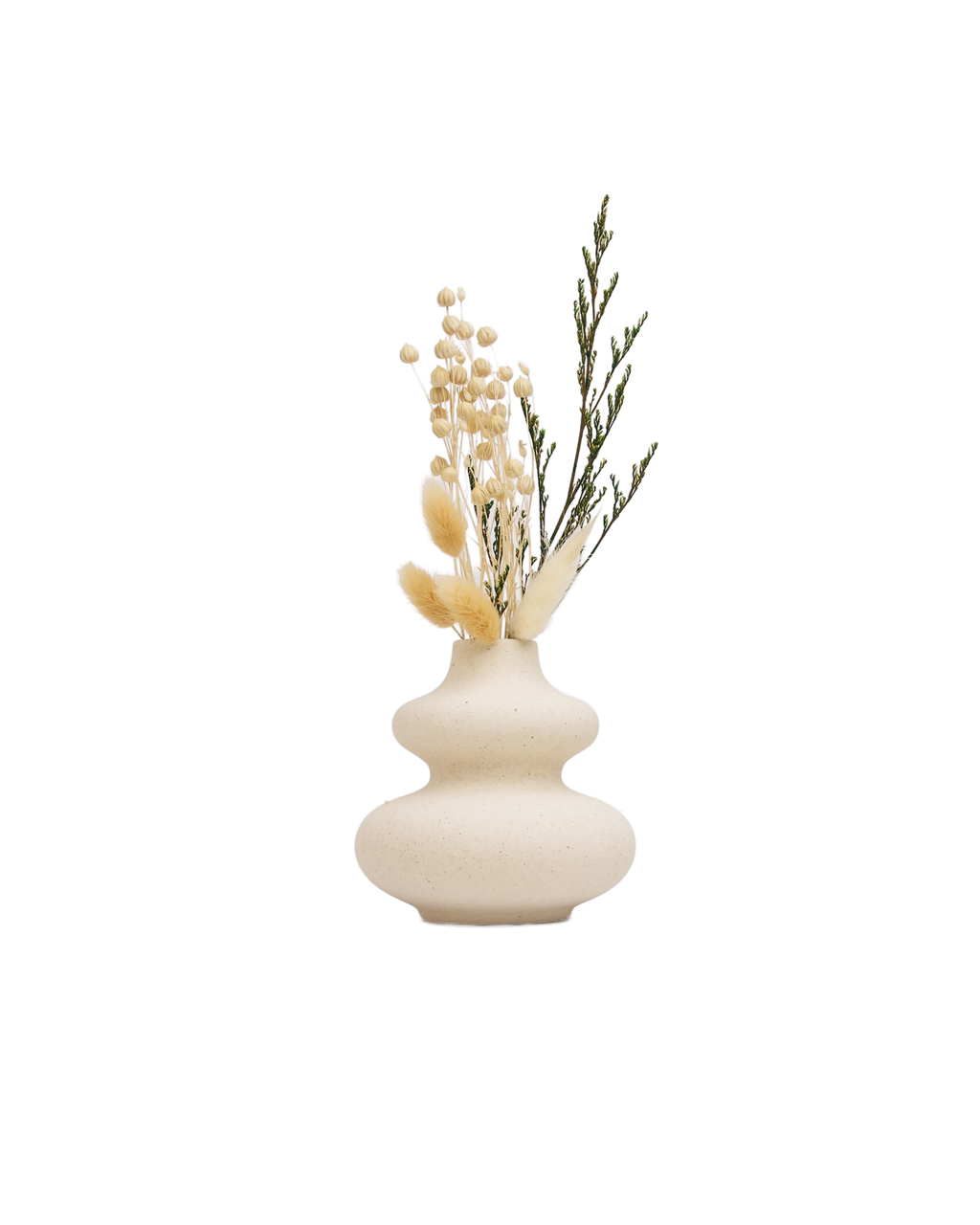 Twin curve vase