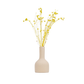 Stem vase