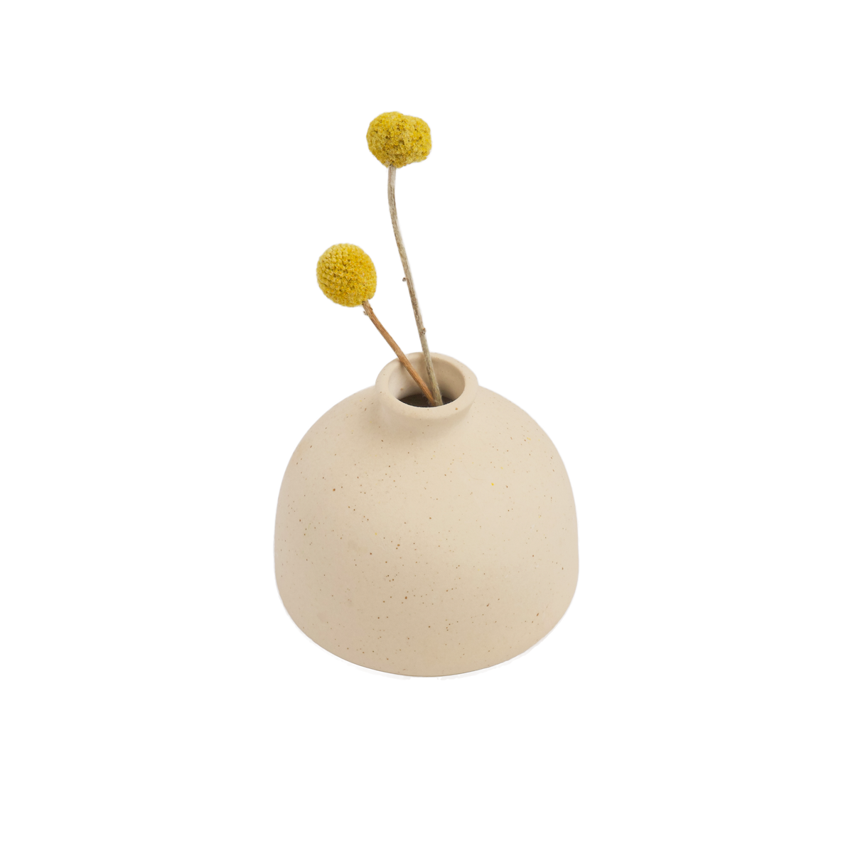 Bloom vase no. 2